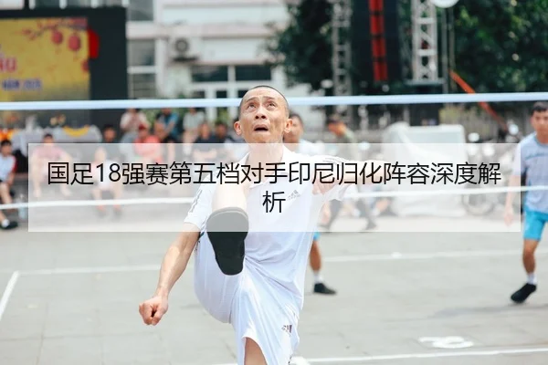 国足18强赛第五档对手印尼归化阵容深度解析