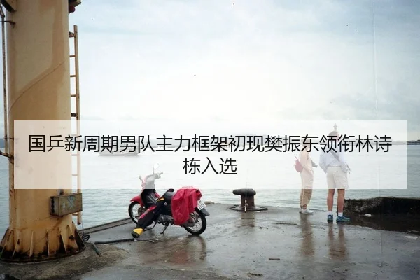 国乒新周期男队主力框架初现樊振东领衔林诗栋入选