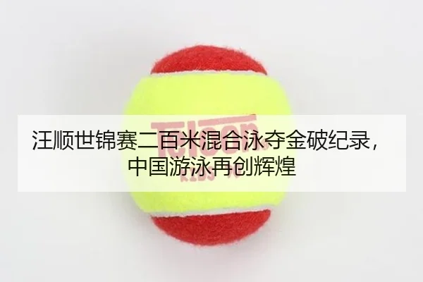 wang-shun-shi-jin-sai-er-bai-mi-hun-he-yong-duo-jin-po-ji-lu-zhong-guo-you-yong-zai-chuang-hui-huang-2-372.jpg