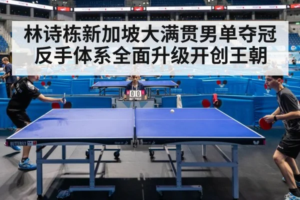 林诗栋新加坡大满贯男单夺冠 反手体系全面升级开创王朝