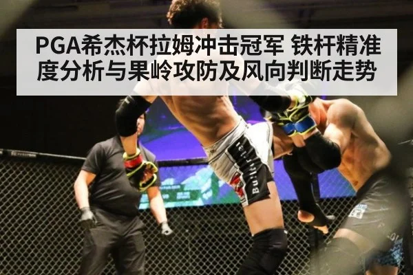 PGA希杰杯拉姆冲击冠军 铁杆精准度分析与果岭攻防及风向判断走势