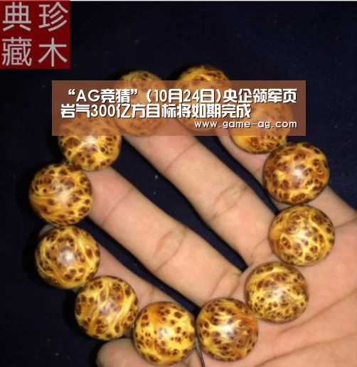 “AG竞猜”(10月24日)央企领军页岩气300亿方目标将如期完成(图4) AG入口