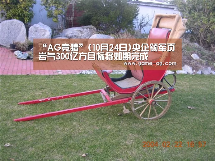 “AG竞猜”(10月24日)央企领军页岩气300亿方目标将如期完成(图3) AG竞猜